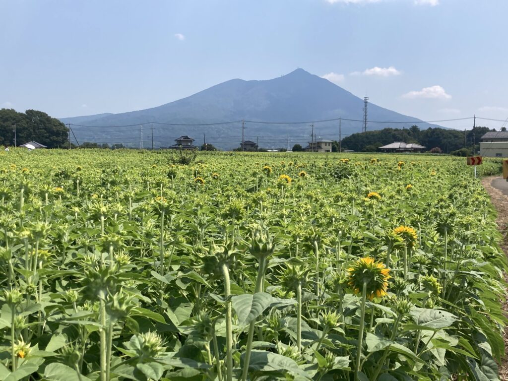 筑波山