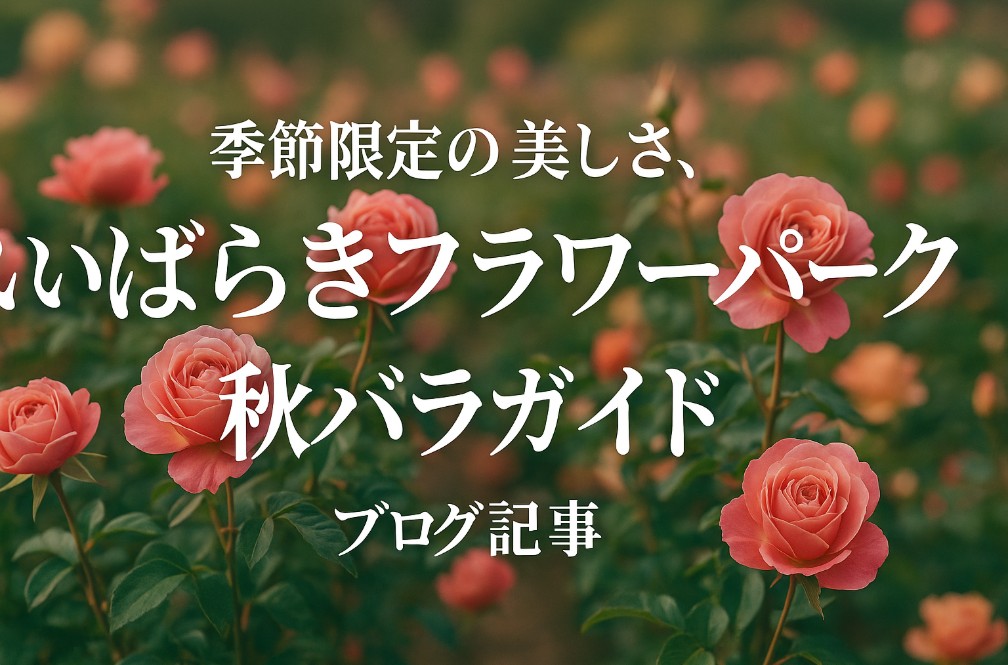 いばらきフラワーパーク秋バラ