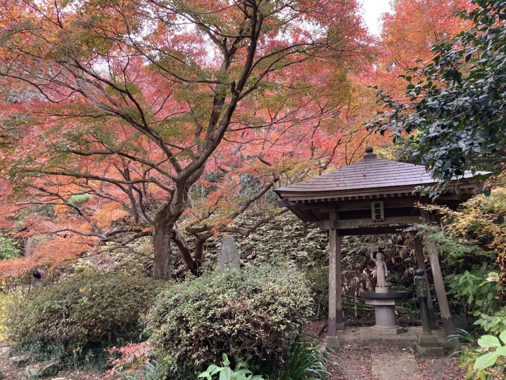 桜川市 薬王寺