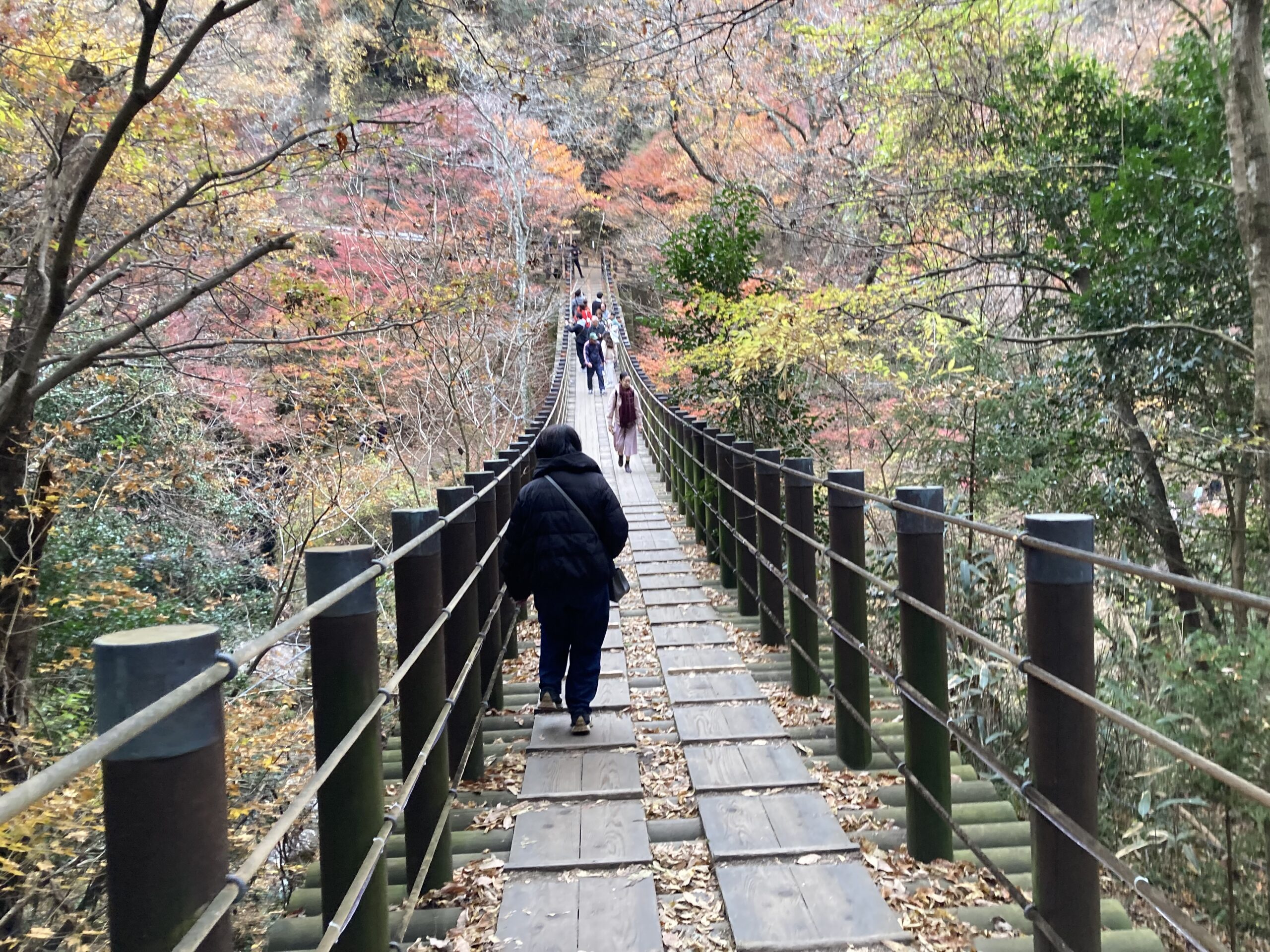 花貫渓谷のつり橋
